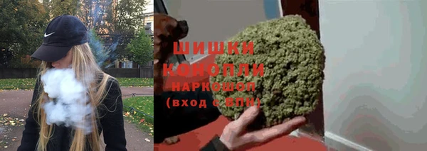 сатива Новодвинск
