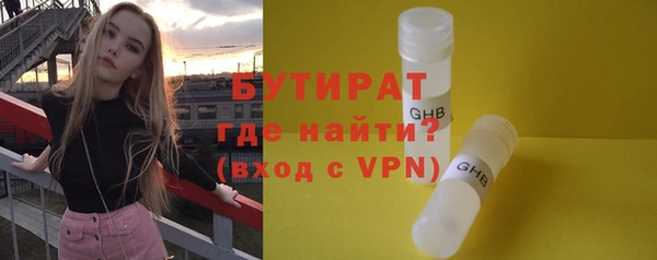 сатива Новодвинск