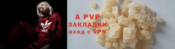 сатива Новодвинск