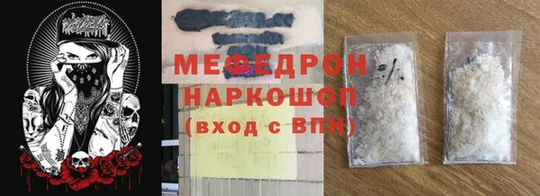 сатива Новодвинск